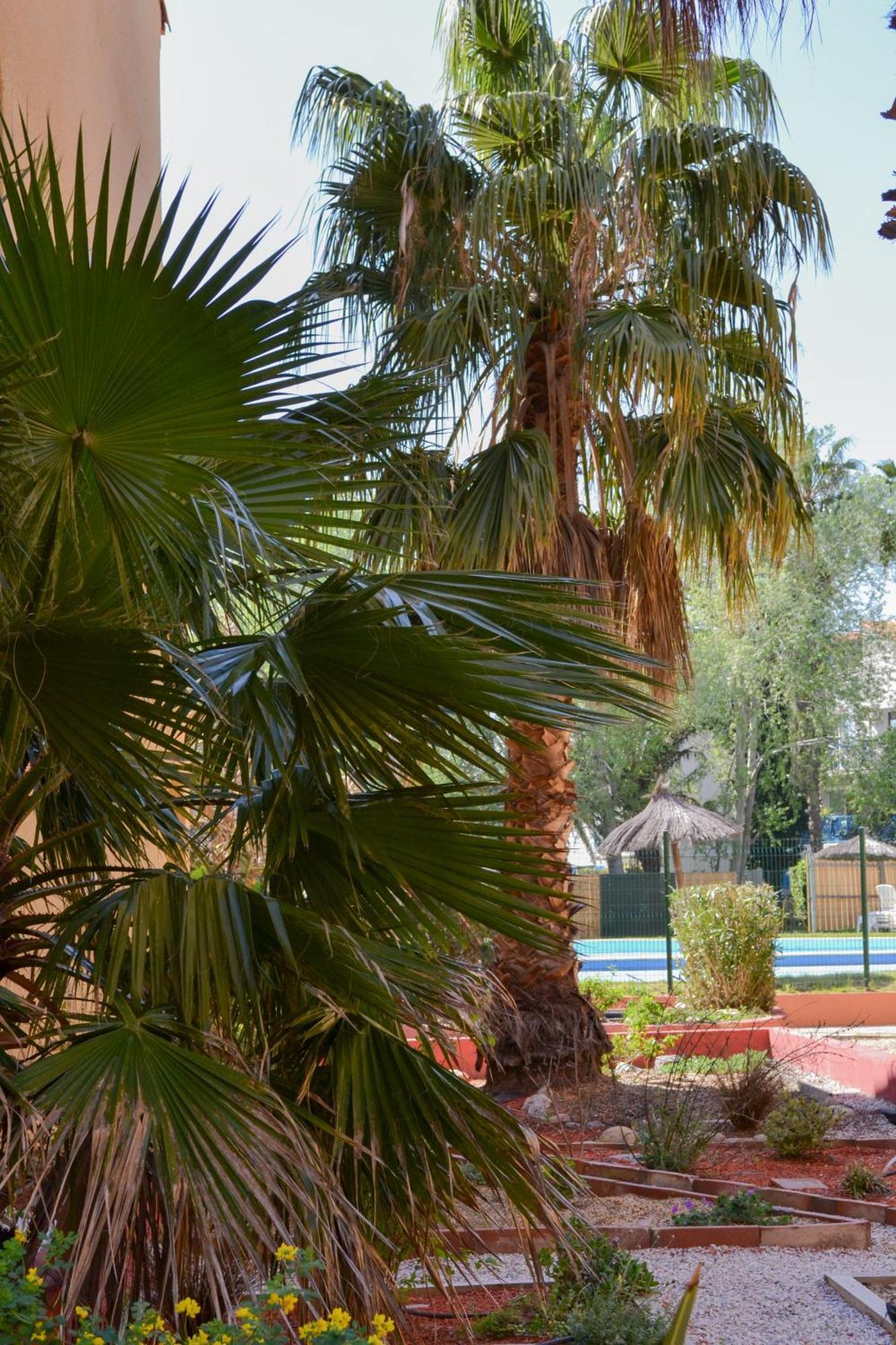 Malibu Village Canet-en-Roussillon Exterior foto